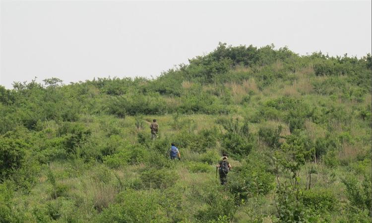 基诺族的长桌宴