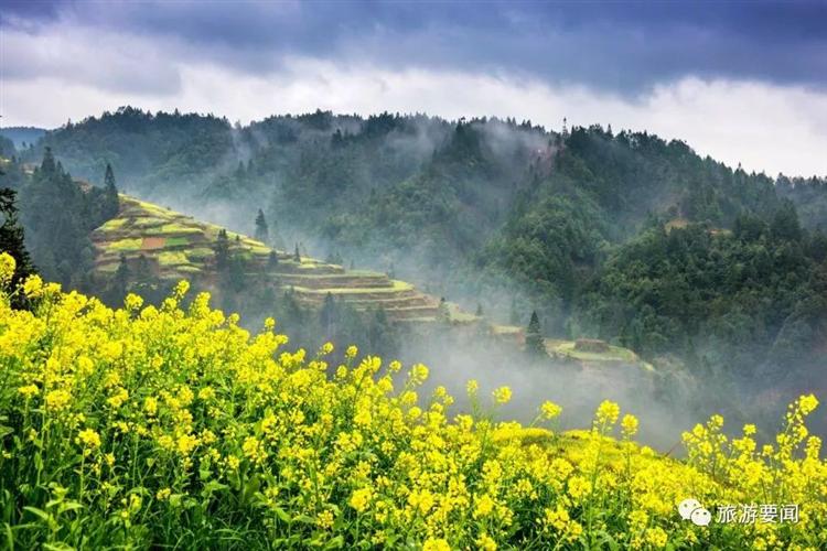 我们的美丽乡村