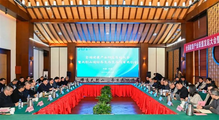 全国大健康产业联盟暨大别山国际养生再生谷发起共创会在岳西召开