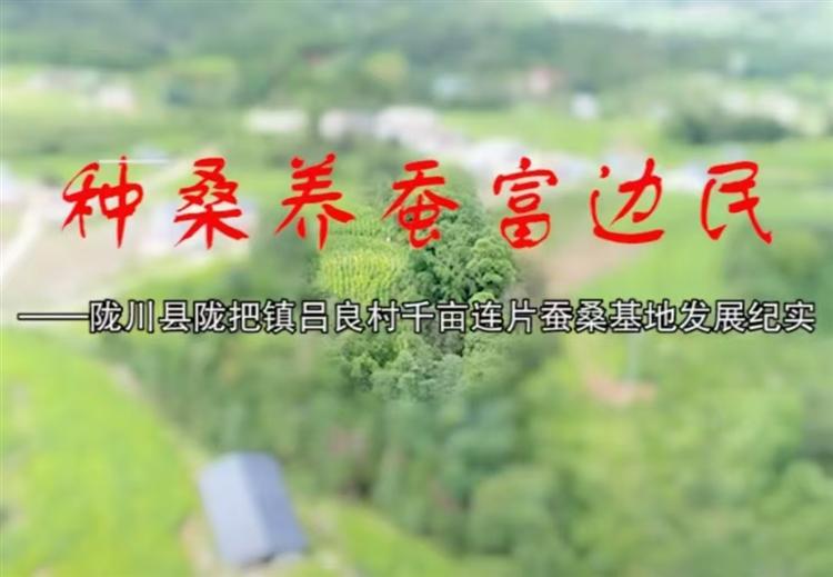 种桑养蚕富边民